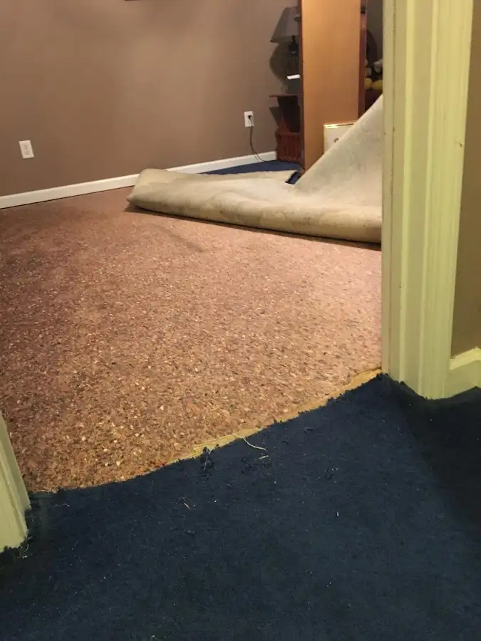 Carpet pad removal revealing water damage during Drying & Dehumidification in Warwick